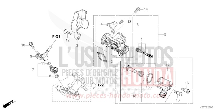 CORPS DE PAPILLON de MSX GROM A GAYETY RED (R310) 2021